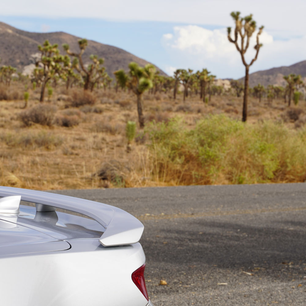 Car Joshua Tree